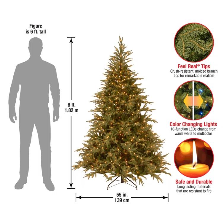 6.5' Prelit LED Medium Jersey Fraser Fir Artificial Christmas Tree Dual Color Lights - National Tree Company