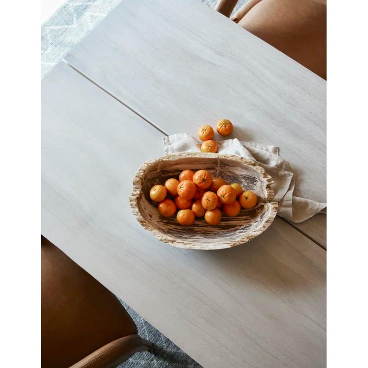 Noki Petrified Wood Bowl