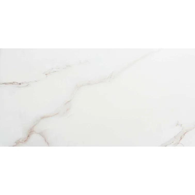 The Tile Life Huntington 24" x 48" Porcelain Marble Look Wall & Floor Tile