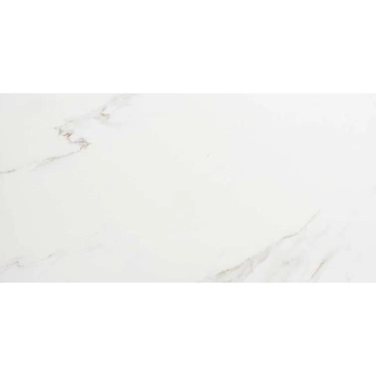 The Tile Life Huntington 24" x 48" Porcelain Marble Look Wall & Floor Tile