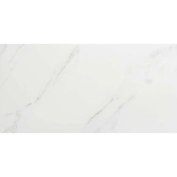 The Tile Life Huntington 24" x 48" Porcelain Marble Look Wall & Floor Tile