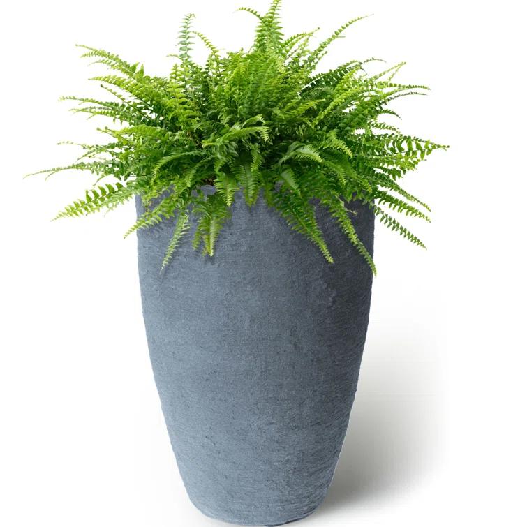 Algreen Products 87301 Athena 20.5" Self Watering Level Indicator Indoor Outdoor Plastic Planter with Overflow Drain, Charcoalstone