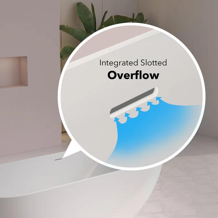 Staykiwi 67'' x 29'' Freestanding Soaking Plastic / Acrylic Bathtub JJCS04BT-67