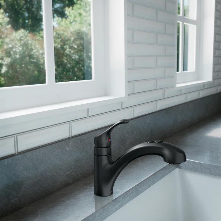 Renzo Single Handle Kitchen Faucet with Duralock