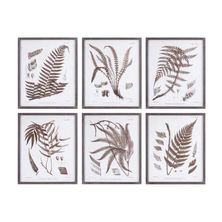 Love Happy Creations LLC " Fern " 6 - Pieces (Set of 6)