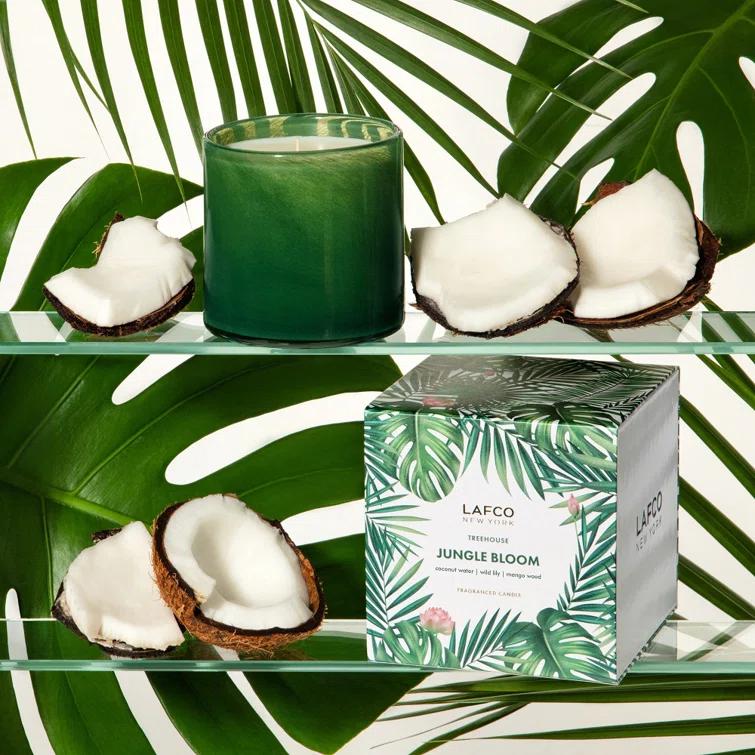 Treehouse Retreat 15.5oz Soy Wax Candle with Coconut & Mango Wood Notes