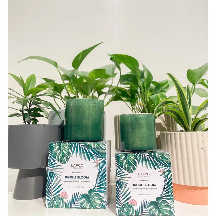 House and Home Jungle Bloom Classic Signature Candle