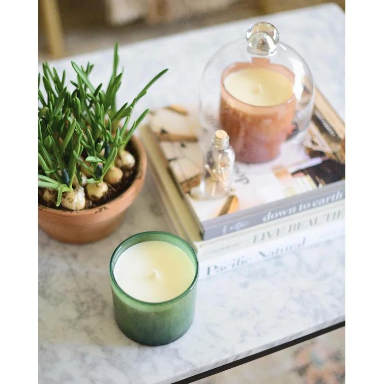 House and Home Jungle Bloom Classic Signature Candle