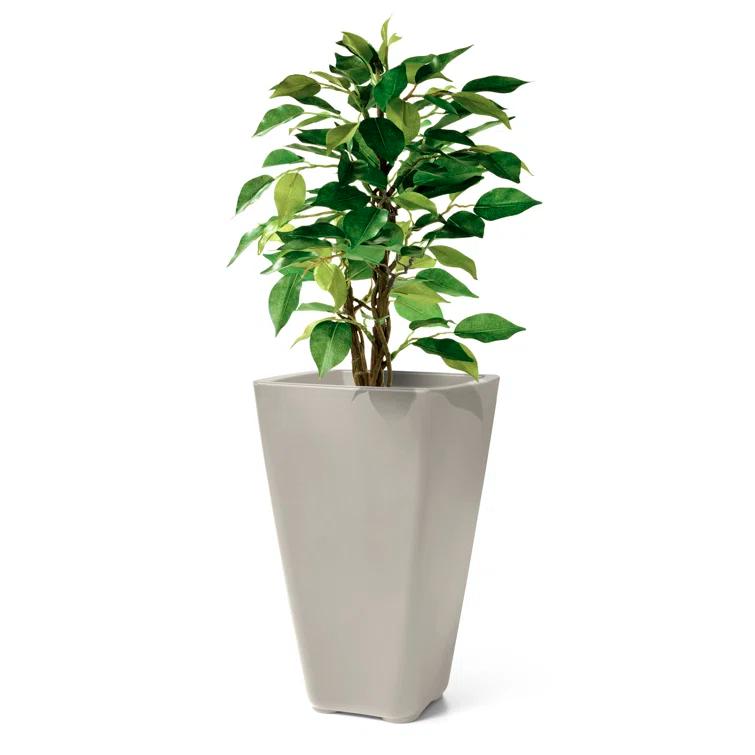 Self-Watering Plastic Planter