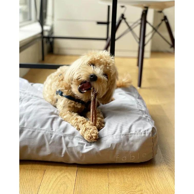 Orthopedic Pet Bed
