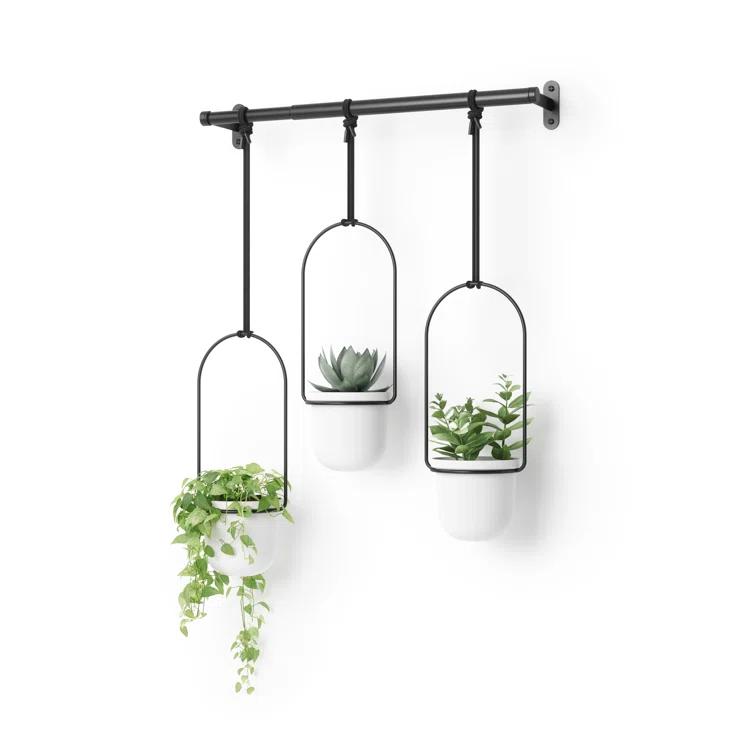 Tri-Flora Hanging Planter