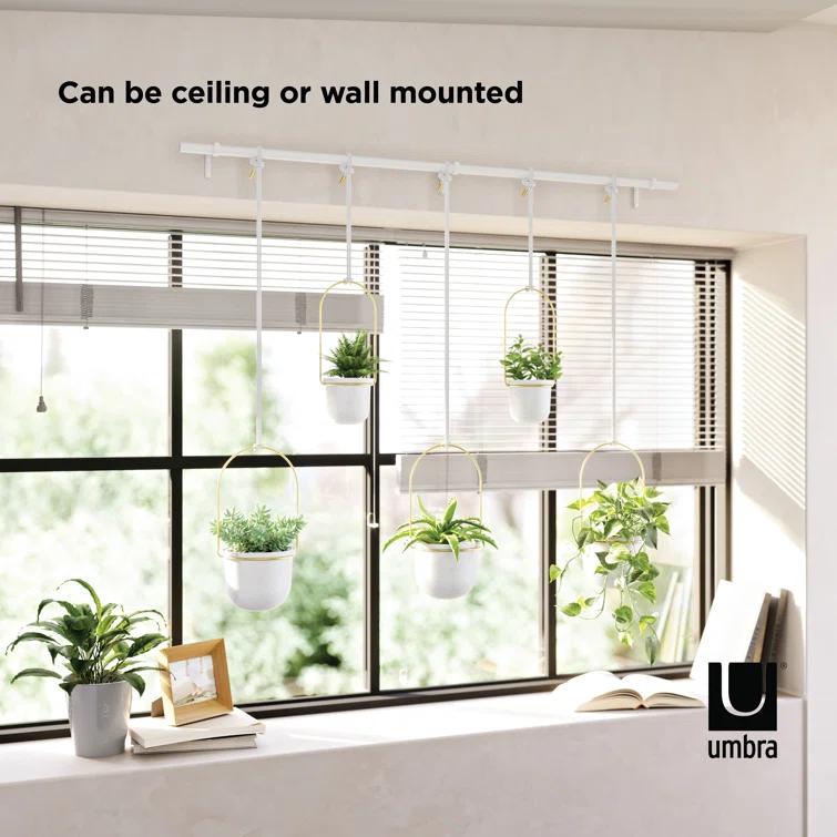 Umbra Hanging Planter