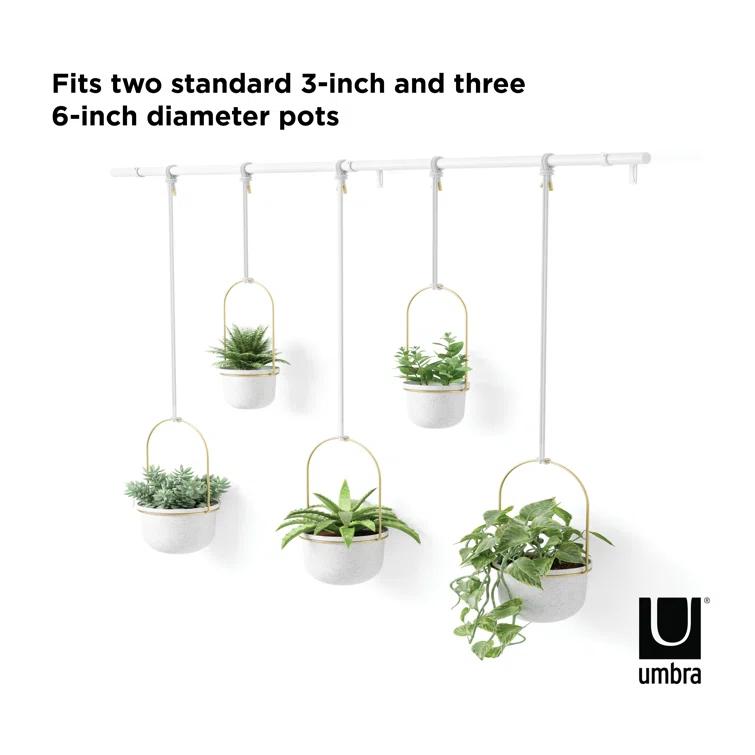 Umbra Hanging Planter
