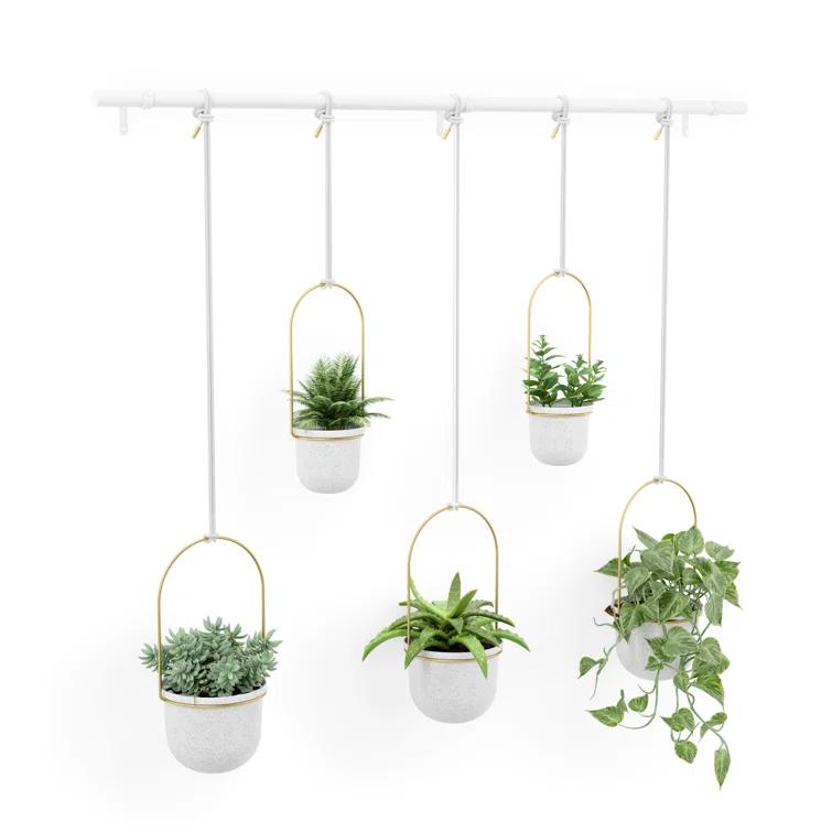Umbra Hanging Planter