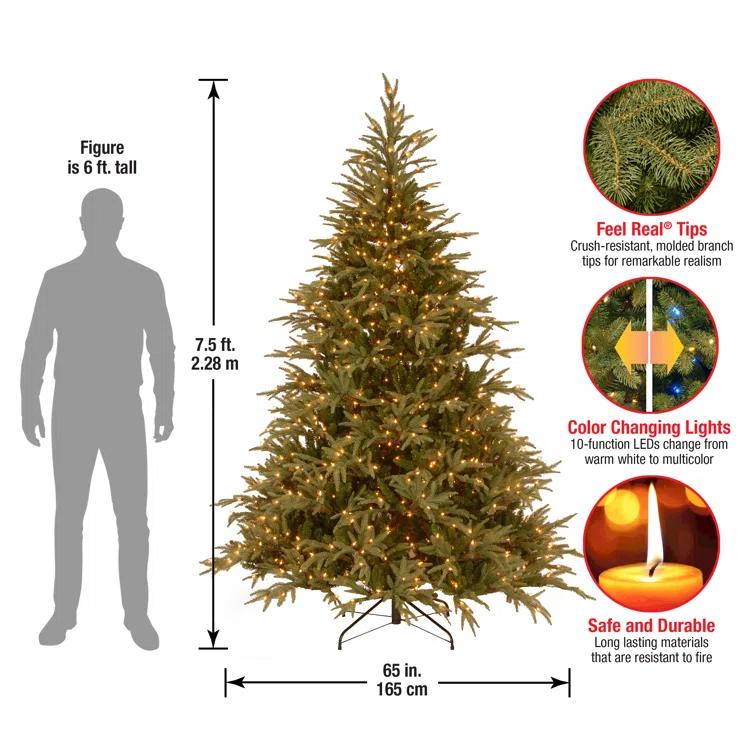6.5' Prelit LED Medium Jersey Fraser Fir Artificial Christmas Tree Dual Color Lights - National Tree Company