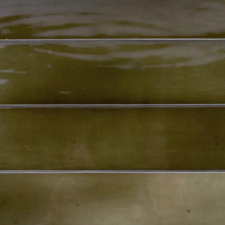 2.56'' W x 15.75'' L Ceramic Subway Singular Tile