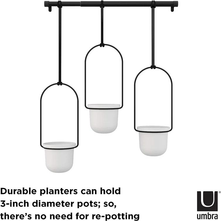 Tri-Flora Hanging Planter