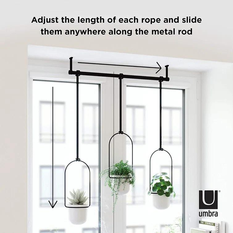 Tri-Flora Hanging Planter