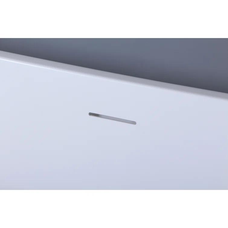 Turner 67'' x 31.5'' Freestanding Soaking Acrylic Bathtub