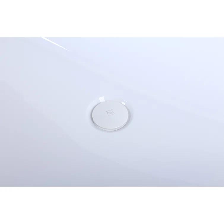Turner 67'' x 31.5'' Freestanding Soaking Acrylic Bathtub