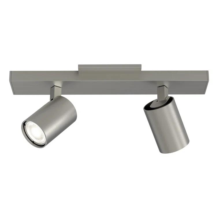 Contemporary Matt Nickel 2-Light Spotlight Ceiling Fixture