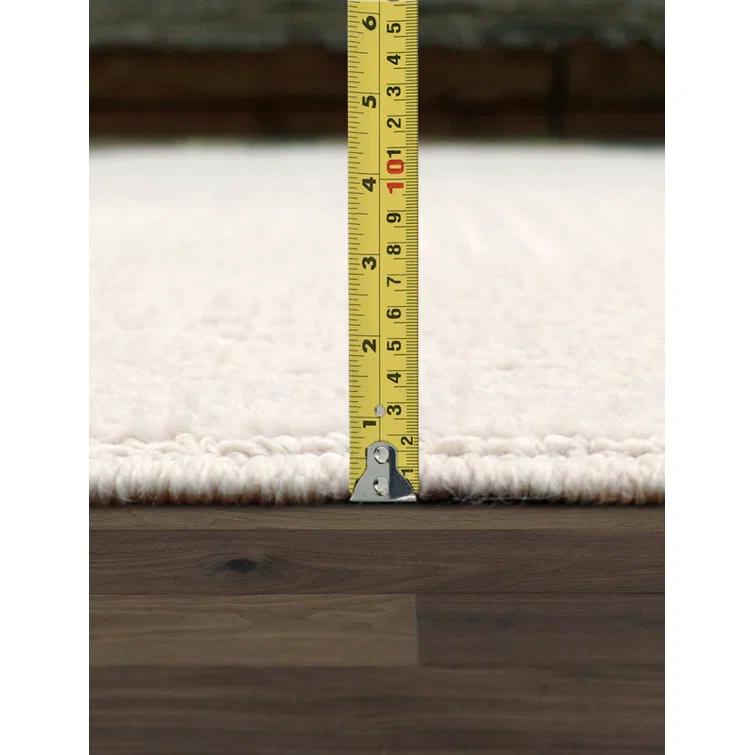 Pasargad Sutton Polypropylene Ivory Area Rug | Wayfair