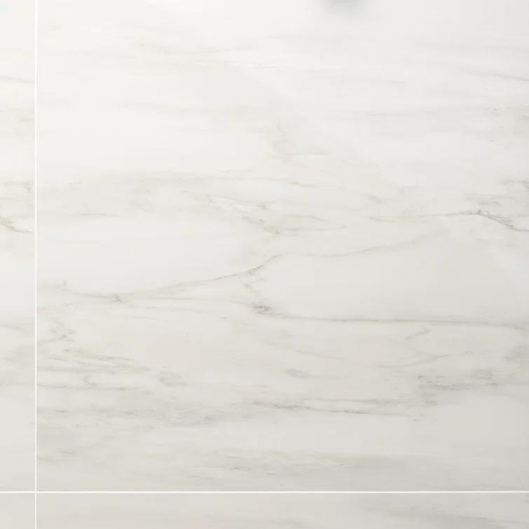 24" x 24" Polished Marble Look Porcelain Floor and Wall Tile (15.5 Sq. Ft. / Case)