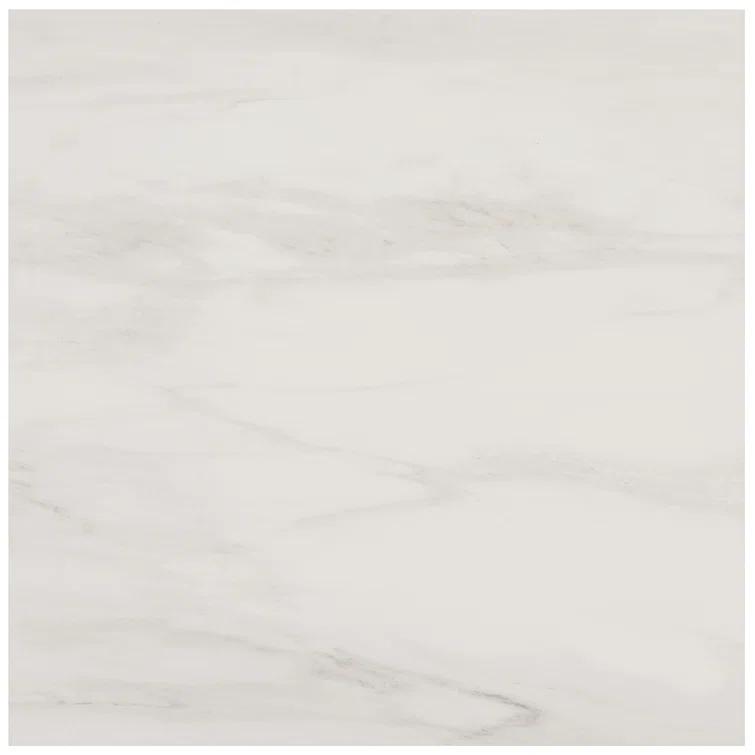 24" x 24" Polished Marble Look Porcelain Floor and Wall Tile (15.5 Sq. Ft. / Case)