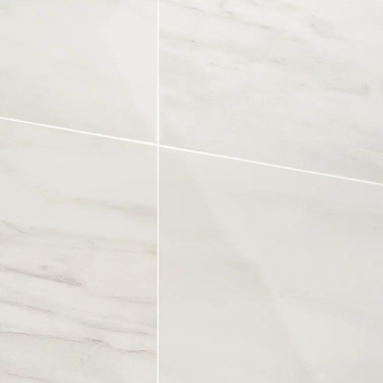 24" x 24" Polished Marble Look Porcelain Floor and Wall Tile (15.5 Sq. Ft. / Case)