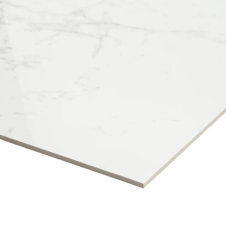 24" x 24" Polished Marble Look Porcelain Floor and Wall Tile (15.5 Sq. Ft. / Case)