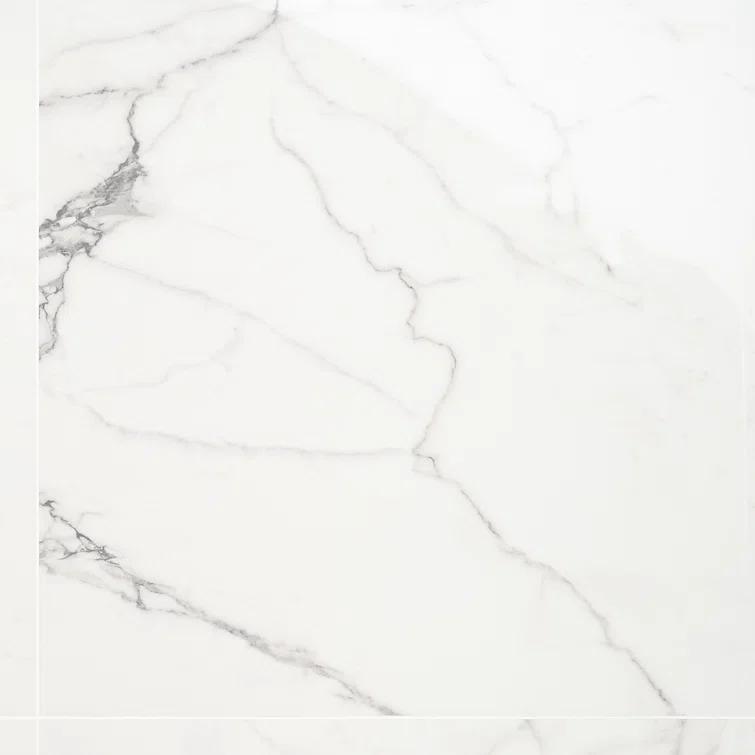 24" x 24" Polished Marble Look Porcelain Floor and Wall Tile (15.5 Sq. Ft. / Case)