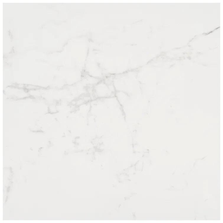 24" x 24" Polished Marble Look Porcelain Floor and Wall Tile (15.5 Sq. Ft. / Case)