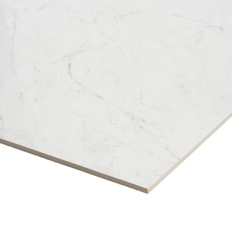 24" x 24" Polished Marble Look Porcelain Floor and Wall Tile (15.5 Sq. Ft. / Case)