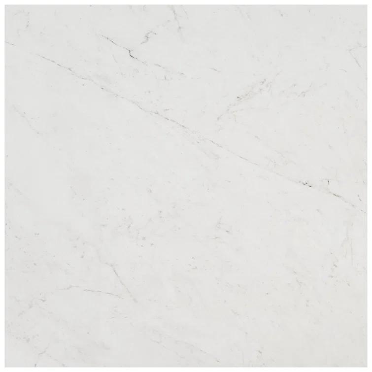 24" x 24" Polished Marble Look Porcelain Floor and Wall Tile (15.5 Sq. Ft. / Case)