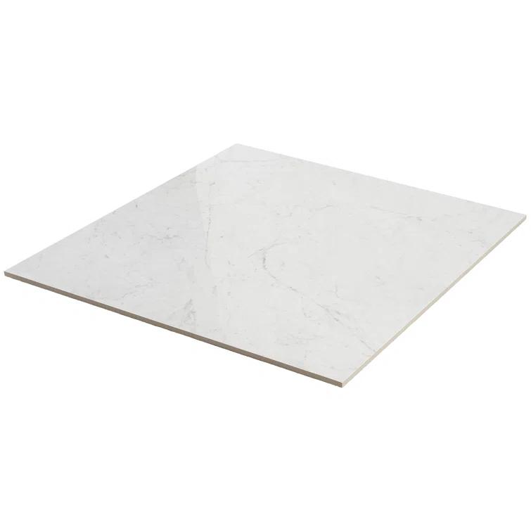 24" x 24" Polished Marble Look Porcelain Floor and Wall Tile (15.5 Sq. Ft. / Case)