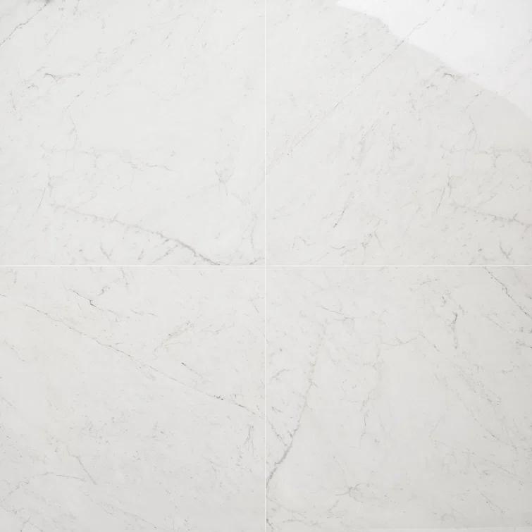 24" x 24" Polished Marble Look Porcelain Floor and Wall Tile (15.5 Sq. Ft. / Case)