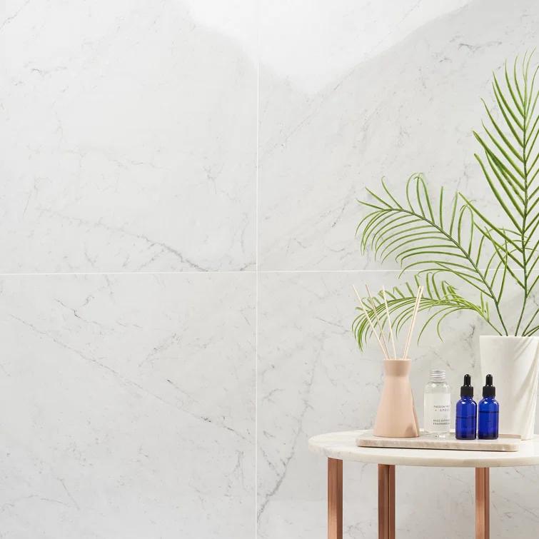 24" x 24" Polished Marble Look Porcelain Floor and Wall Tile (15.5 Sq. Ft. / Case)