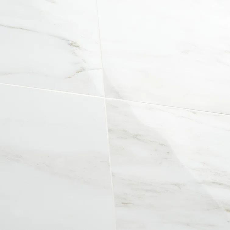 Large Format 24" x 47" Polished Marble Look Porcelain Floor and Wall Tile (15.5 Sq. Ft. / Case)