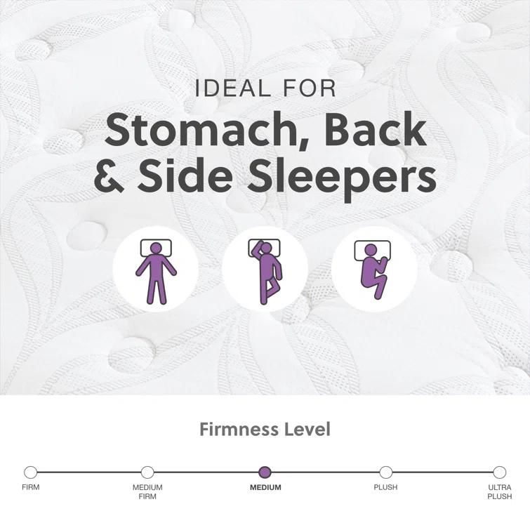 Signature Design by Ashley Serena 12'' Plush Hybrid Mattress
