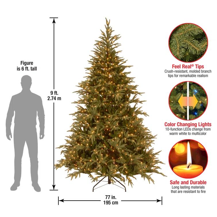 6.5' Prelit LED Medium Jersey Fraser Fir Artificial Christmas Tree Dual Color Lights - National Tree Company