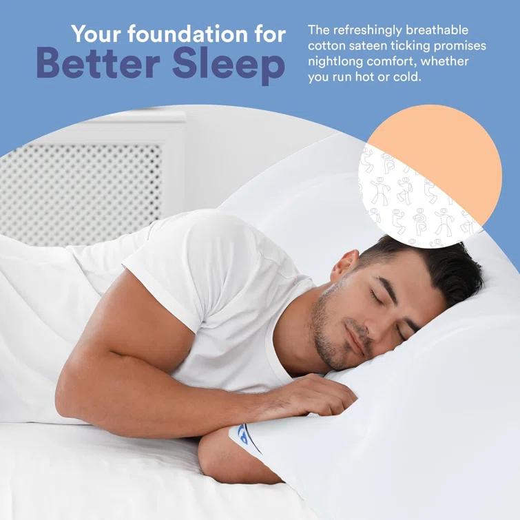 ContinentalBedding Continental Bedding Soft Down Pillows, 2-Pack, 550FP, 75% Down 25% Feather, 400TC 100% Cotton Cover (Set of 2)