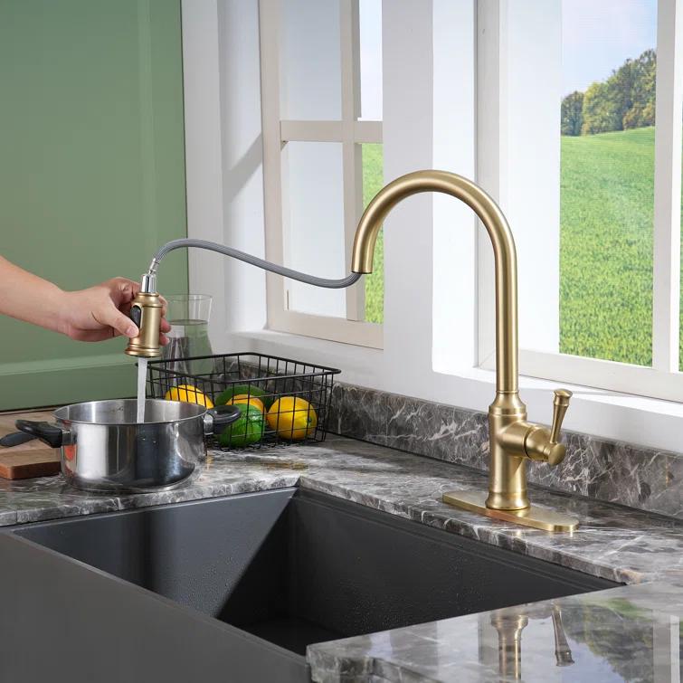 CASAINC 1.8 GPM Single-Handle Pull-Down Kitchen Faucet Single Hole Faucet