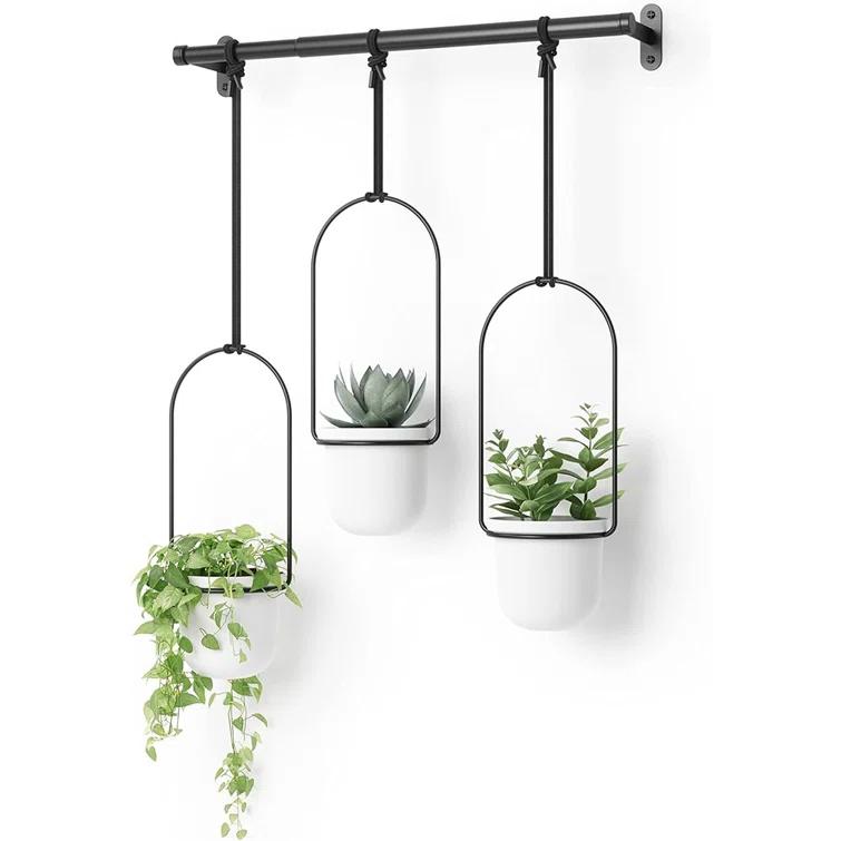 Tri-Flora Hanging Planter