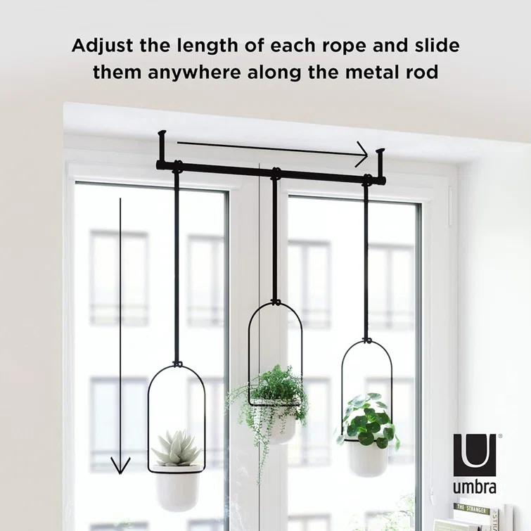 Tri-Flora Hanging Planter