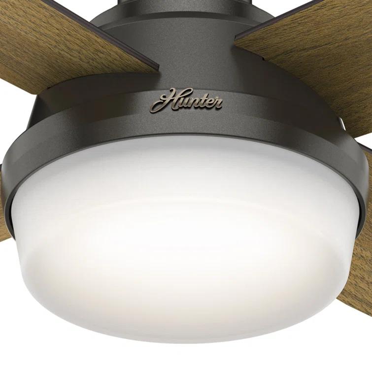 Dempsey 52" 4 - Blade Contemporary Indoor Ceiling Fan with Lights and Remote