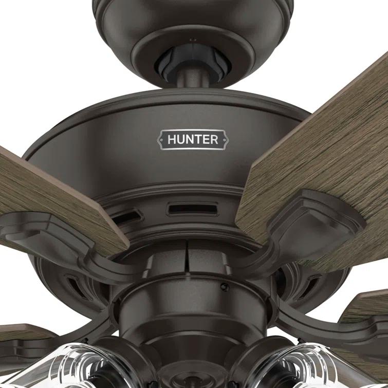 Hunter Fan 52" Rosner 5 - Blade Ceiling Fan With Lights and Pull Chains