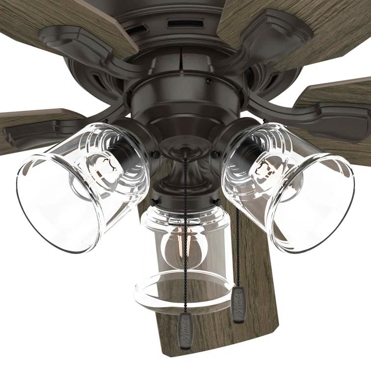 Hunter Fan 52" Rosner 5 - Blade Ceiling Fan With Lights and Pull Chains