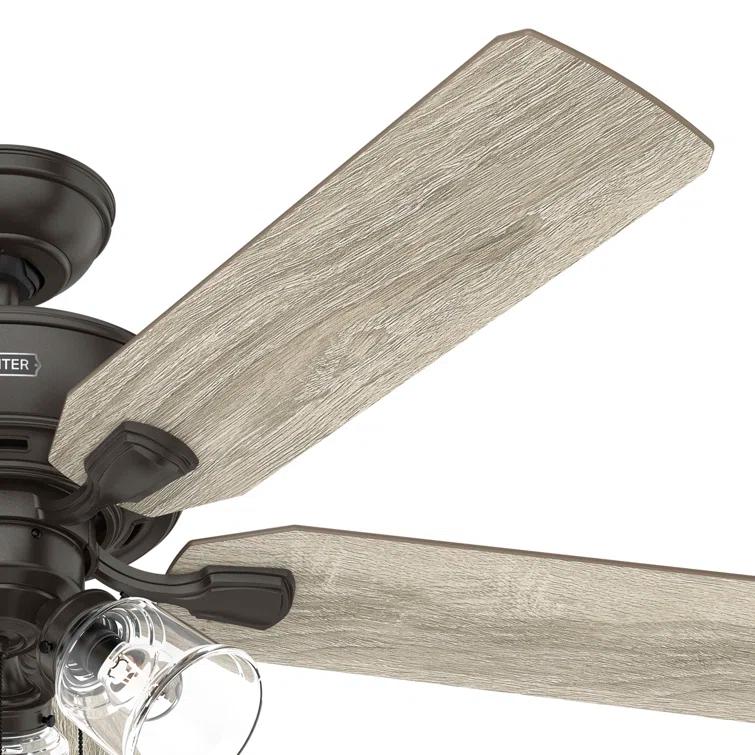 Hunter Fan 52" Rosner 5 - Blade Ceiling Fan With Lights and Pull Chains