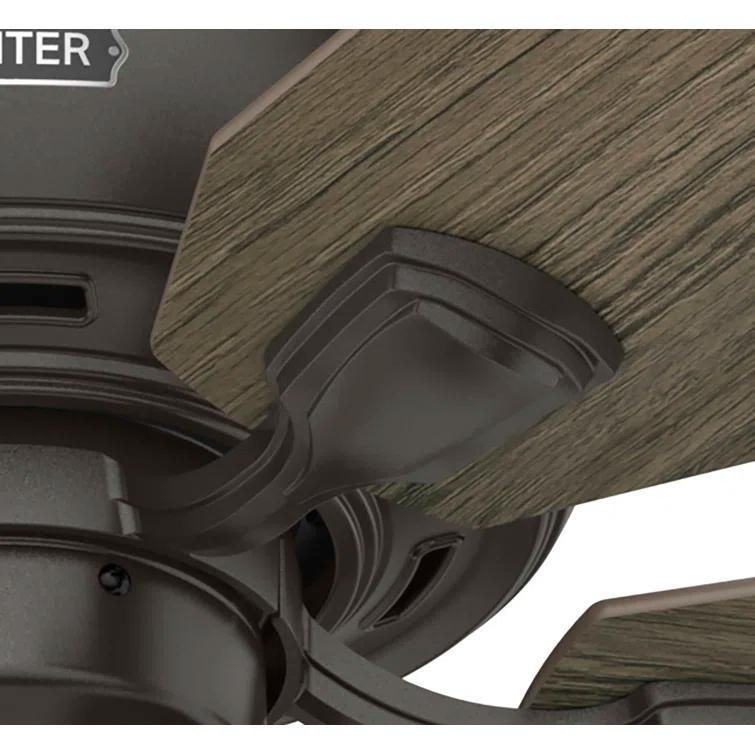 Hunter Fan 52" Rosner 5 - Blade Ceiling Fan With Lights and Pull Chains