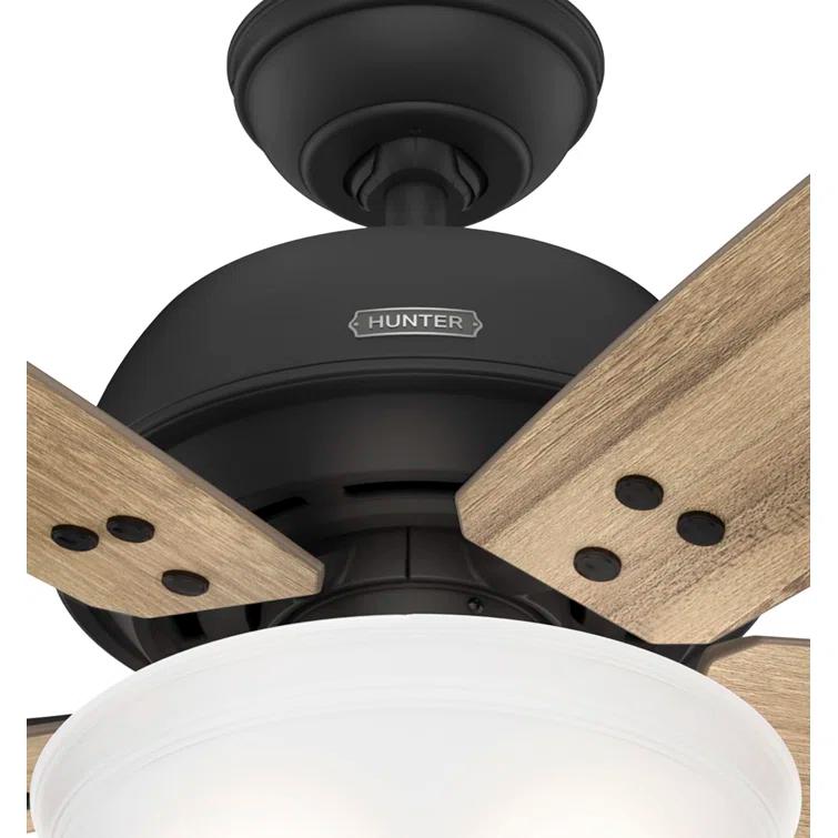 Hunter Fan Reveille 60" 5 - Blade Ceiling Fan With Lights And Pull Chain